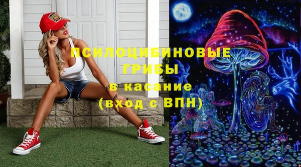 твердый Абинск